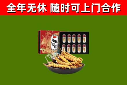 海宁回收冬虫夏草价格